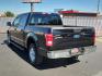 2017 BLACK Ford F-150 XLT (1FTEW1EF2HK) with an ENGINE: 5.0L V8 FFV engine, located at 4110 Avenue Q, Lubbock, 79412, 33.556553, -101.855820 - 09/27/2024 INSPECTION IN ENVELOPE GOD 10/04/2024 KEY IN ENVELOPE GOD - Photo#2