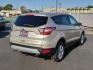 2017 GOLD Ford Escape SE (1FMCU0GD2HU) with an ENGINE: 1.5L ECOBOOST engine, located at 4110 Avenue Q, Lubbock, 79412, 33.556553, -101.855820 - 10/04/2024INSPECTION IN ENVELOPE GOD 10/08/2024 KEY IN ENVELOPE GOD - Photo#1