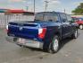 2017 BLUE Nissan Titan SV (1N6AA1EK1HN) with an Engine: 5.6L V8 engine, located at 4110 Avenue Q, Lubbock, 79412, 33.556553, -101.855820 - 10/16/2024 INSPECTION IN ENVELOPE GOD - Photo#1